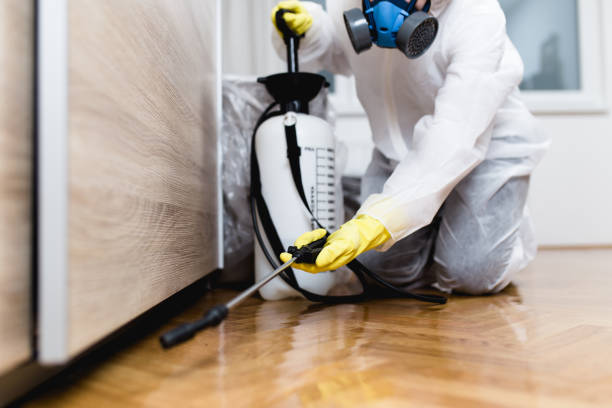Best Mosquito Control Services  in Carteret, NJ