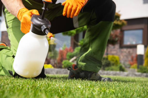 Best Best Pest Control Companies  in Carteret, NJ