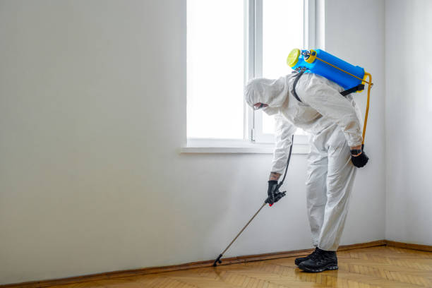 Best Wildlife Control Services  in Carteret, NJ