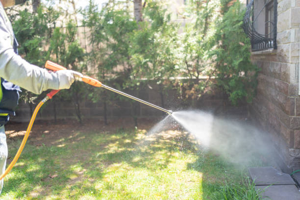 Reliable Carteret, NJ Pest Control Solutions