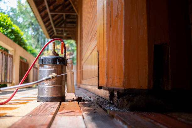 Best Termite Control Services  in Carteret, NJ