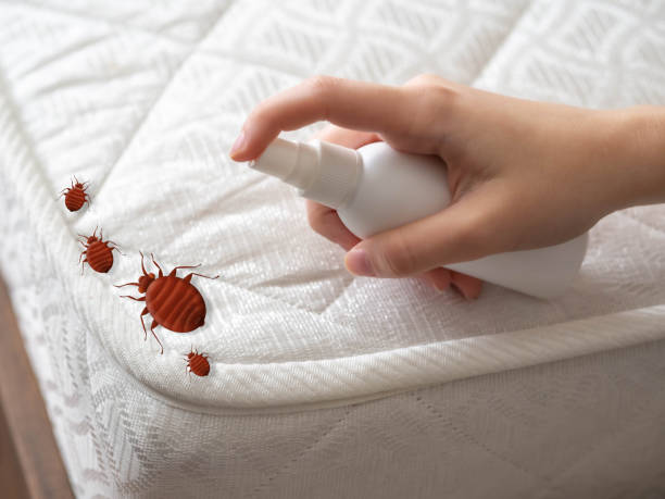 Best Cockroach Control Services  in Carteret, NJ