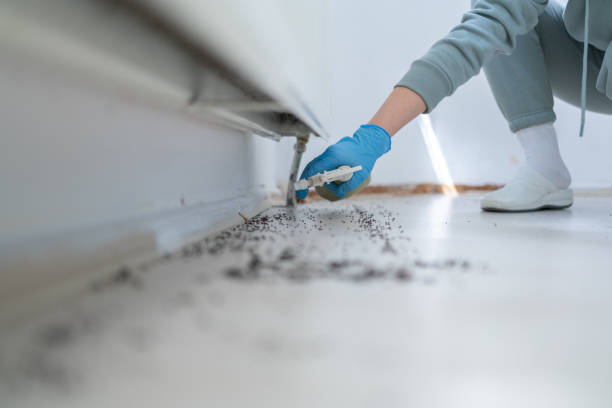 Best Local Pest Control Services  in Carteret, NJ