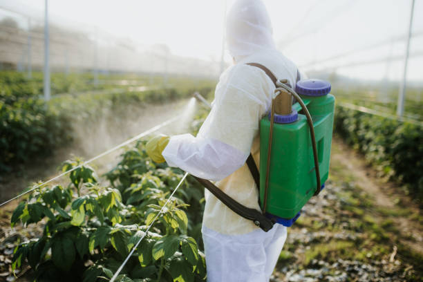 Best Affordable Pest Control Services  in Carteret, NJ